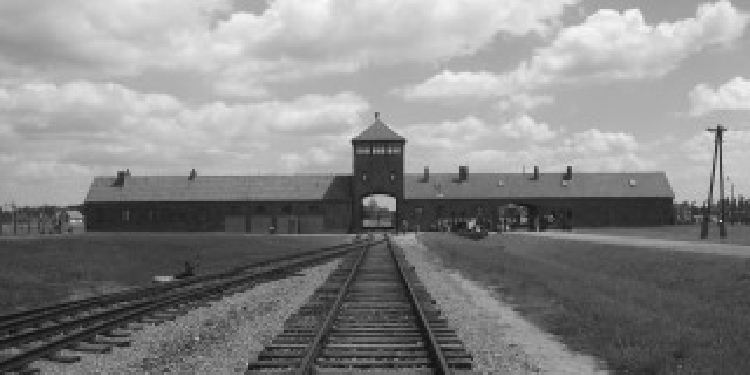 Polonya’da Nazi kurbanı 8 bin kişinin külleri bulundu Polonya’da Nazi kurbanı 8 bin kişinin külleri bulundu