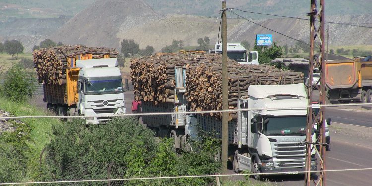 Şırnak Barosu 300 avukatla kıyımın yaşandığı bölgeye gidecek Şırnak Barosu 300 avukatla kıyımın yaşandığı bölgeye gidecek