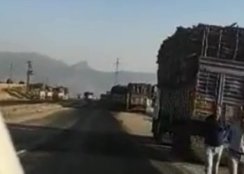 Şırnak Barosu, ağaç katliamına ilişkin yeni görüntüler paylaştı