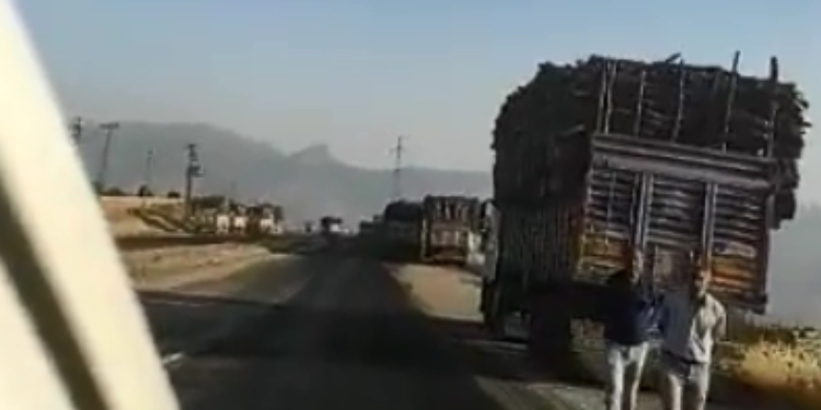 Şırnak Barosu, ağaç katliamına ilişkin yeni görüntüler paylaştı Şırnak Barosu, ağaç katliamına ilişkin yeni görüntüler paylaştı