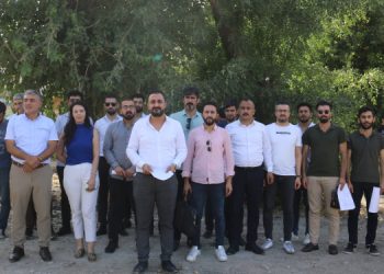 Şırnak Barosu’ndan ağaç kıyımına ilişkin rapor