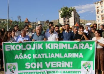 Şırnak’taki ağaç kesimine tepki: Orman sadece ağaç değildir