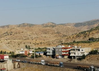Şırnak’taki kıyımın yeni görüntüsü: Tek bir ağaç bırakılmamış