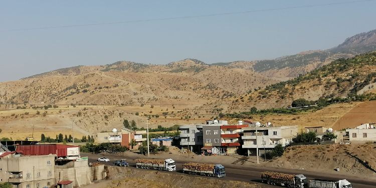 Şırnak’taki kıyımın yeni görüntüsü: Tek bir ağaç bırakılmamış Şırnak’taki kıyımın yeni görüntüsü: Tek bir ağaç bırakılmamış