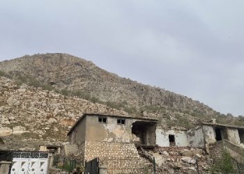 Süryani köyünde ağaç kıyımı