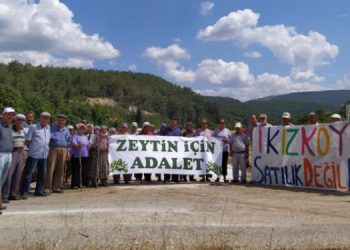 79 kuruluştan zeytin yönetmeliğine tepki