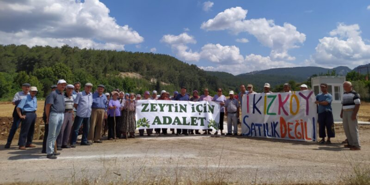 79 kuruluştan zeytin yönetmeliğine tepki 79 kuruluştan zeytin yönetmeliğine tepki