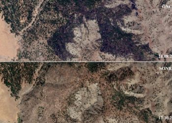 İşte orman kıyımının uydu fotoğrafları