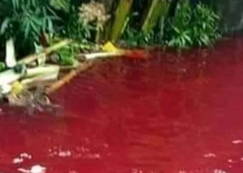 Tarım ilacı karışan derenin rengi kırmızıya döndü