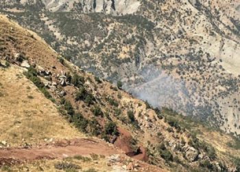 Ağaç kesiminin olduğu Besta’da yangın