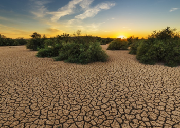 Araştırma: Suyla ilgili afetler 2050’ye kadar 5.6 trilyon dolara mal olabilir