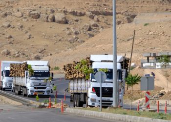 Barodan ağaç katliamına ilişkin çağrı: Valiliğe başvurun