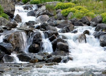 Bartın’da toplu balık ölümlerine inceleme