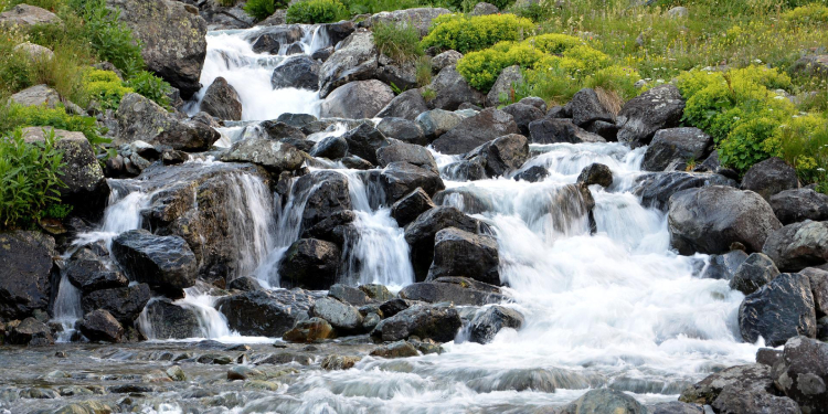 Bartın’da toplu balık ölümlerine inceleme Bartın’da toplu balık ölümlerine inceleme
