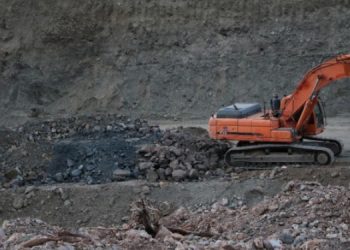 Bingöl’de orman kıyımı: DKÖ’ler görev üstlensin