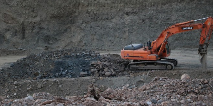Bingöl’de orman kıyımı: DKÖ’ler görev üstlensin Bingöl’de orman kıyımı: DKÖ’ler görev üstlensin