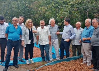 CHP’li Kaya: Fındık üreticisi Ferrero’nun iki dudağı arasına mahkum edildi