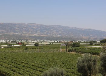 4 günlük elektrik faturası 56 bin lira gelen çiftçi: 7 danamı satmak zorunda kaldım