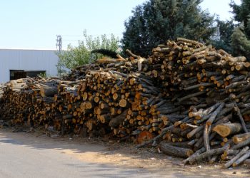 Doğa talanına karşı Cudi Dağı’na yürüyüş gerçekleştirilecek