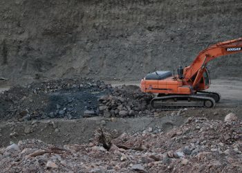 Bingöl’de orman kıyımı: Doğamıza dokunmayın