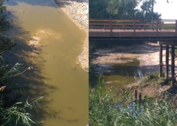 ESÇEVDER: Yanlış tarım politikaları Porsuk çayını kuruttu