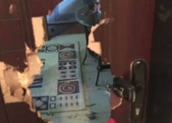 HDP’li 5 genç tutuklandı