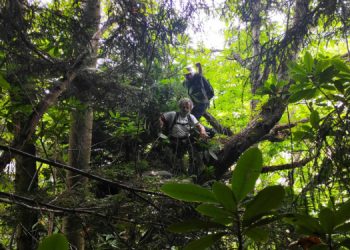 İkizdere’de çevreciler dinamit patlatılmasını durdurmak için nöbet tuttu