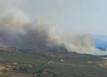 İzmir’de tarım arazisinde yangın