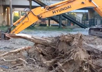 Kadıköy Söğütlüçeşme’de AVM projesi için ağaç kırımı
