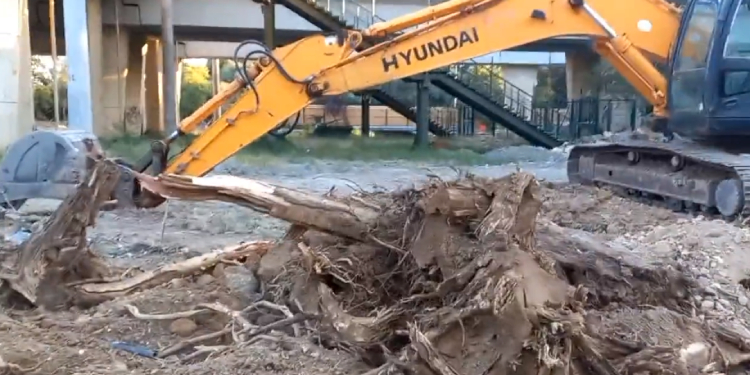 Kadıköy Söğütlüçeşme’de AVM projesi için ağaç kırımı Kadıköy Söğütlüçeşme’de AVM projesi için ağaç kırımı