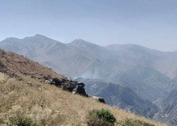 Marînûs ormanları 3 gündür yanıyor