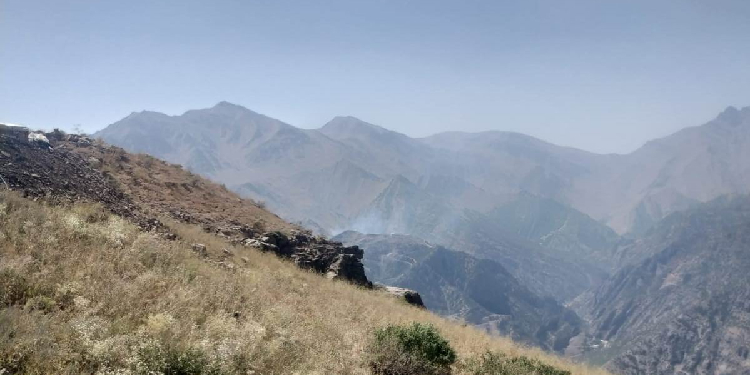 Marînûs ormanları 3 gündür yanıyor Marînûs ormanları 3 gündür yanıyor