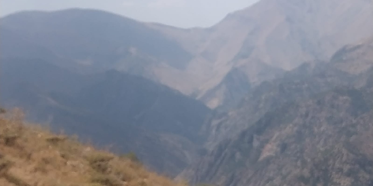 Müdahale edilmeyen yangın kendiliğinden söndü Müdahale edilmeyen yangın kendiliğinden söndü