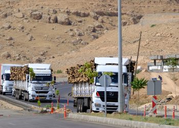 Orman kıyımının durdurulması talebiyle 180 başvuru