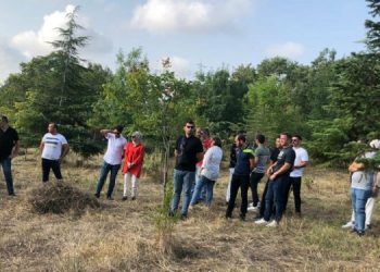 Üsküdar Belediyesi, “Ot biçme” gerekçesi ile polis ve zabıta eşliğinde Validebağ Korusu’na girdi