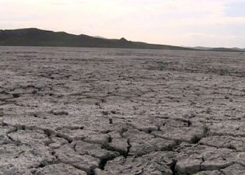 Van Gölü’nde kirlilik üst seviyede