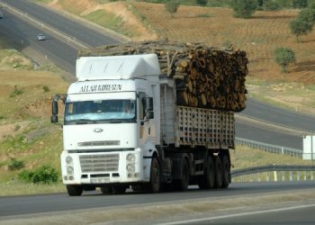 Binler doğa talanına karşı Cudi’de buluşacak