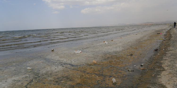 ÇEVDER: Van Gölü’ndeki kirliliğinin önüne geçilmeli ÇEVDER: Van Gölü’ndeki kirliliğinin önüne geçilmeli