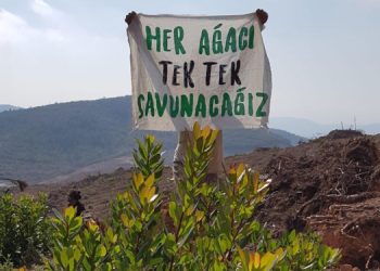 Cudi Yürüyüşü’ne çağrı: Bu katliamı durduralım