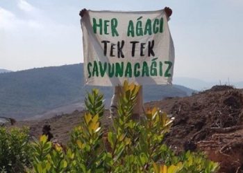 Cudi Yürüyüşü’ne çağrı: Ekolojik talana karşı ortak mücadele