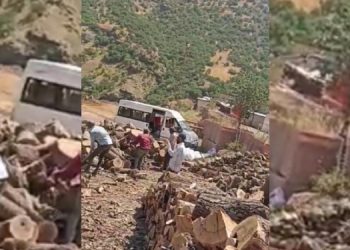 Çukurca’da ağaç kıyımı