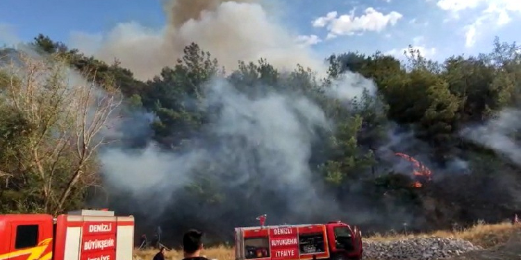 Denizli’de orman yangını Denizli’de orman yangını