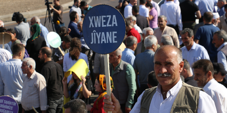 Ekolojistler: Saldırıları durdurabilecek bir hareketi inşa etmek mümkün Ekolojistler: Saldırıları durdurabilecek bir hareketi inşa etmek mümkün