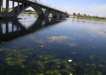 Fırat Nehri çöp akıyor