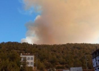 Gülnar’da orman yangını