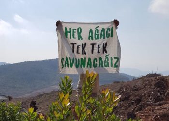 “Kadını ve doğayı katleden zihniyete karşı Cudi’ye yürüyelim”