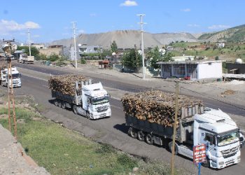 Karadenizli kadınlar: Ekoloji talanına karşı bütüncül mücadele şart