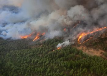 Marmaris’te ormanlık alanda çıkan yangında 500 hektar alan kül oldu