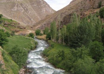 “Pervari’deki HES bölgeye büyük zarar verecek”