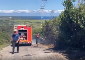 Sinop’ta orman yangını